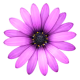 TextMate License Key TextMate License Key