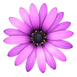 TextMate License Key