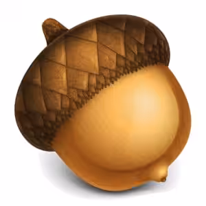 Acorn Logo