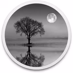 Reflect Studio Logo