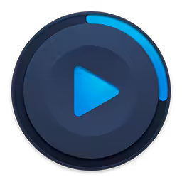 Music Paradise Player Logo